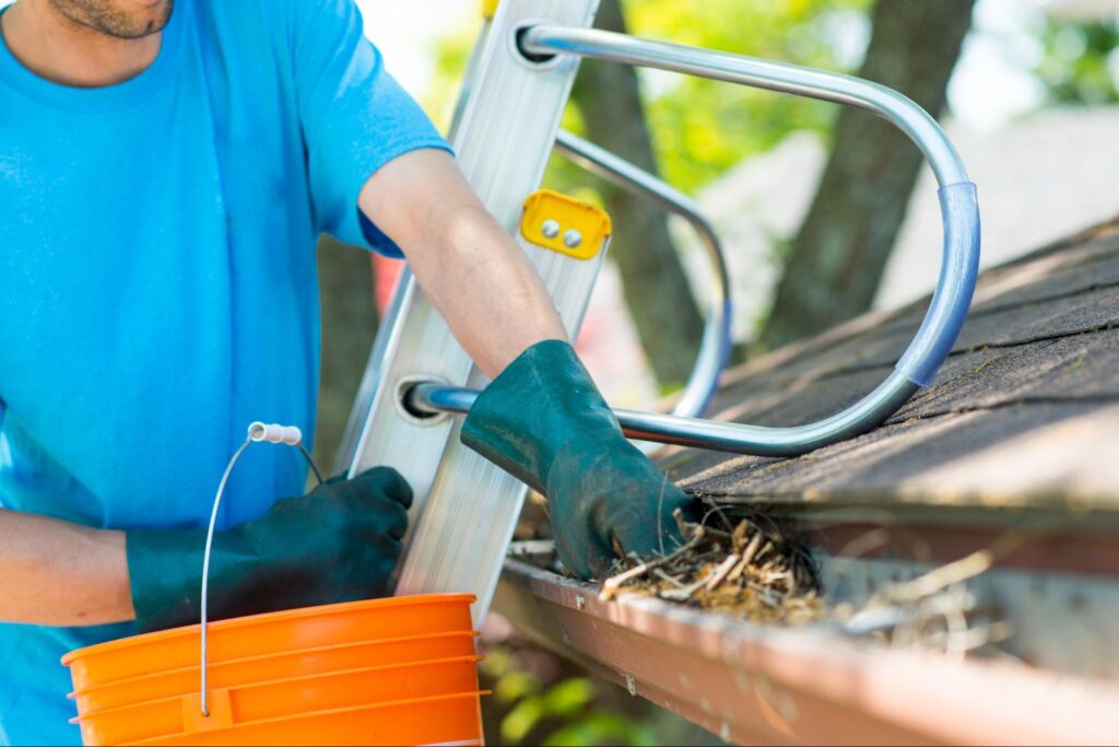 Why You Should Maintain Your Gutters